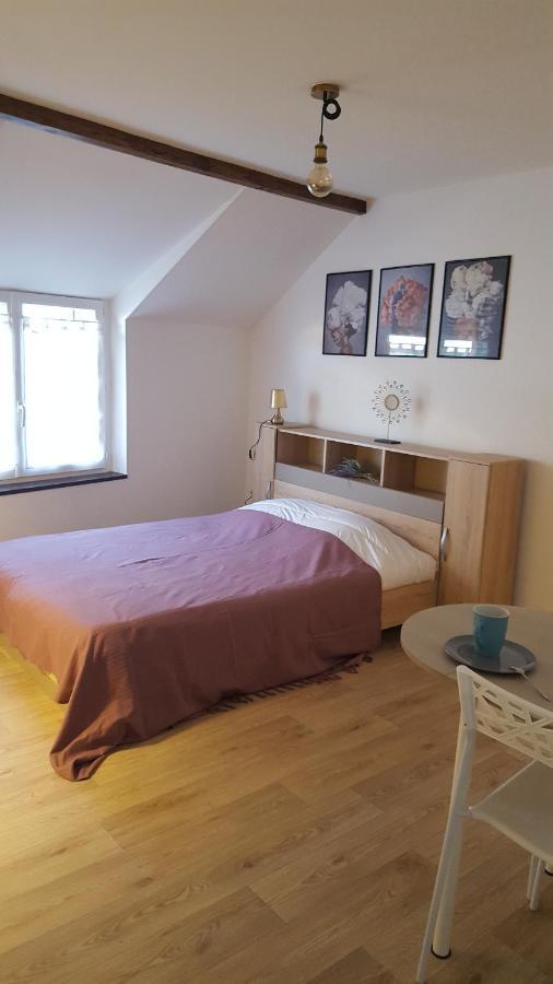 Studios Tout Equipes Cosne-Cours-Sur-Loire Bagian luar foto